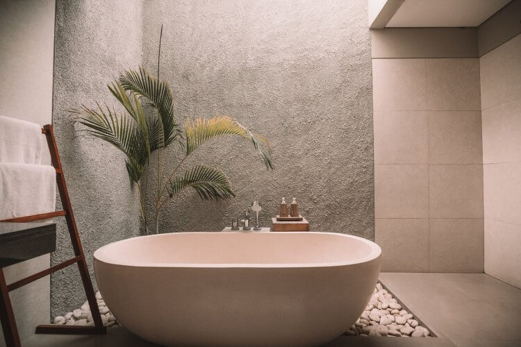 Taupe bathroom colour with plant